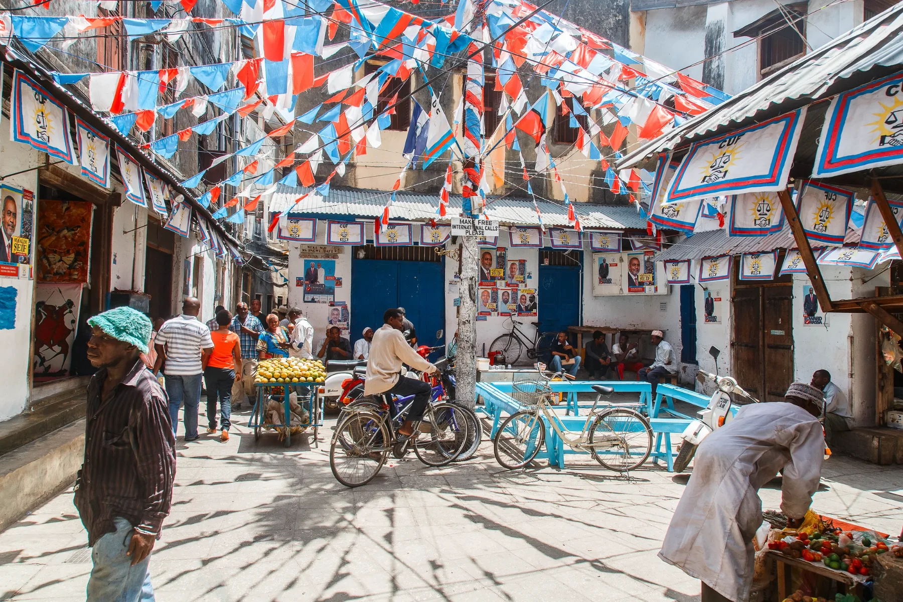 Customised Tours