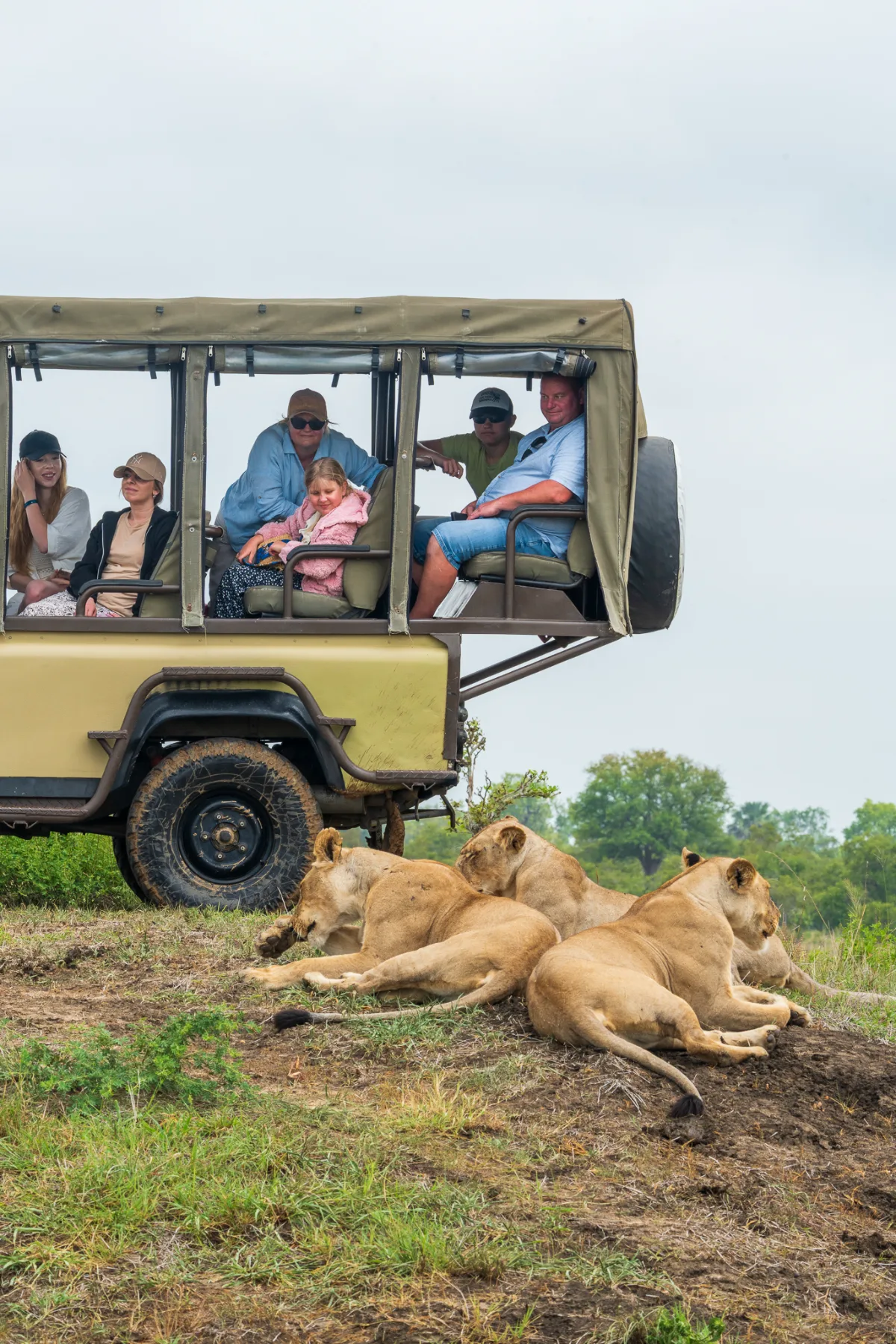 Safari & Wildlife — Serengeti, Tanzania